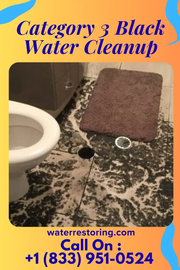 Category 3 Black Water Cleanup in Roanoke Rapids, NC