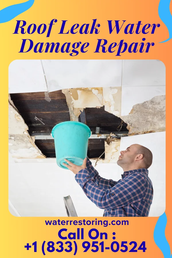 Roof Leak Water Damage Repair in Roanoke Rapids, NC