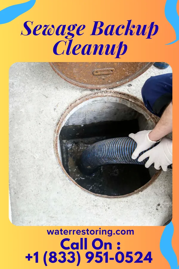Sewage Backup Cleanup in Roanoke Rapids, NC
