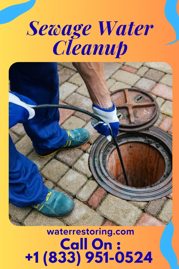 Sewage Water Cleanup in Roanoke Rapids, NC